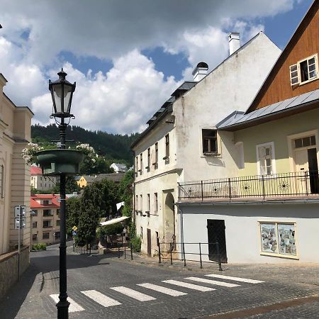 Apartman Vila Rosenberg Banská Štiavnica Exteriör bild