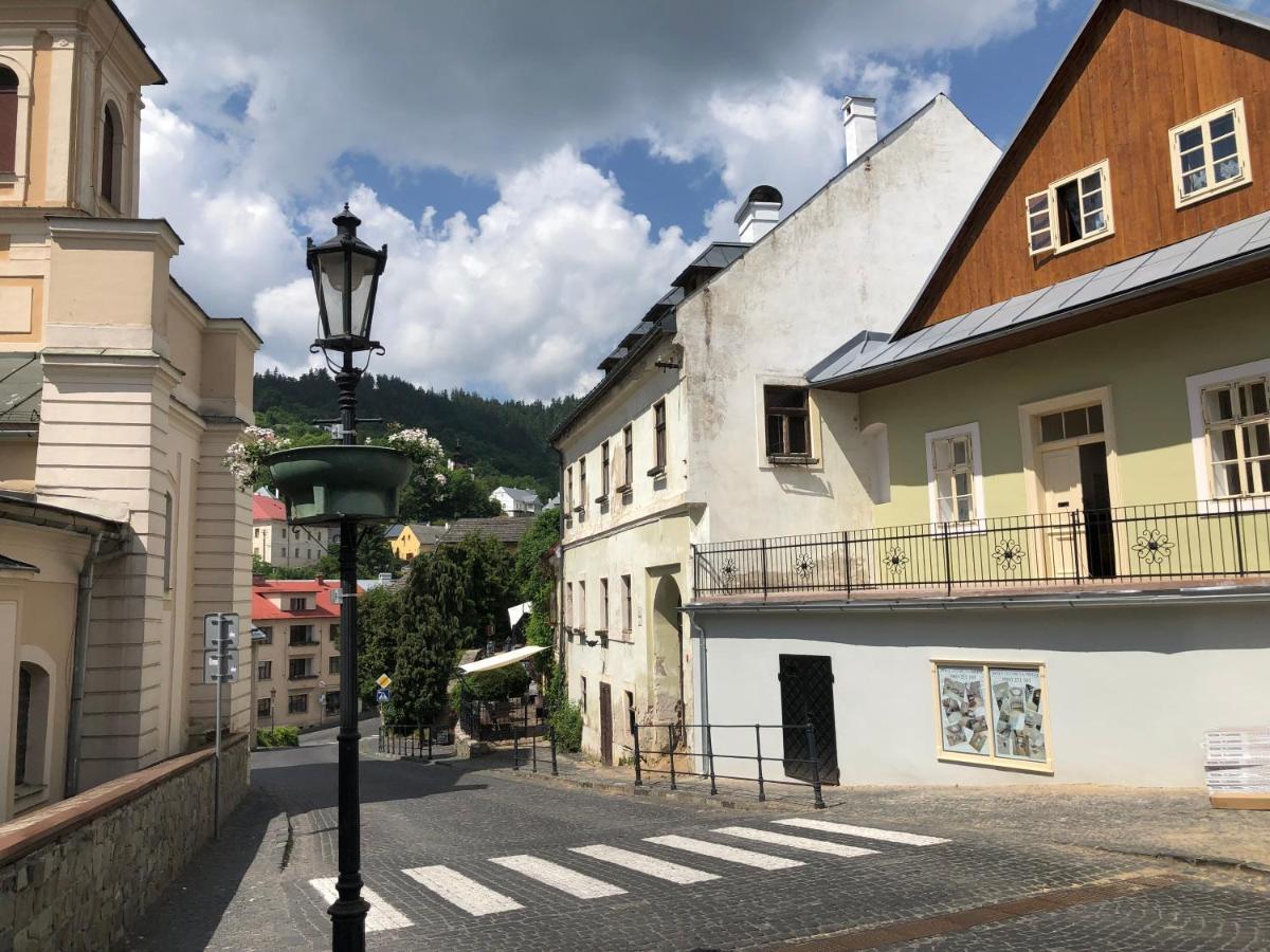 Apartman Vila Rosenberg Banská Štiavnica Exteriör bild
